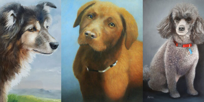 dog-portraits-melbourne1-1250×625