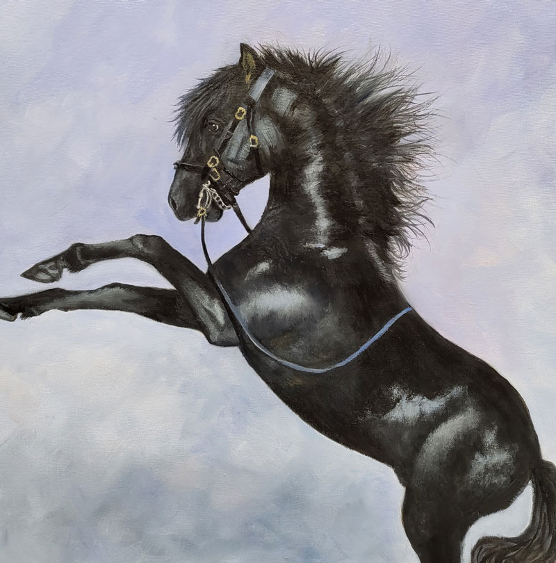 shadow | beautiful horse painting