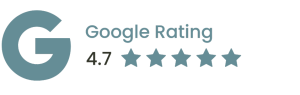 noah's ark paintings google review